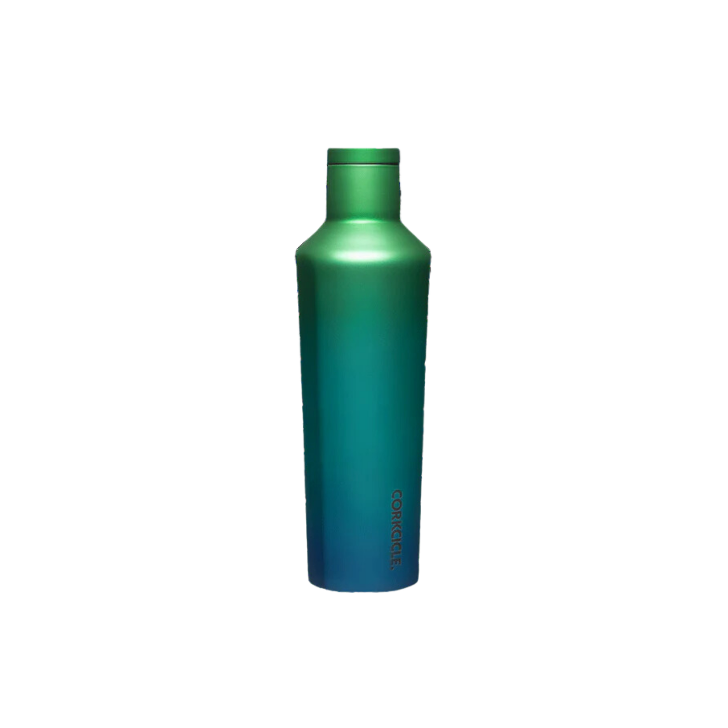 16oz Canteen Chameleon