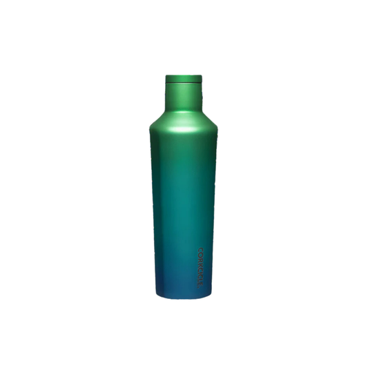 16oz Canteen Chameleon